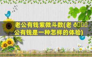 老公有钱紫微斗数(老 🐕 公有钱是一种怎样的体验)